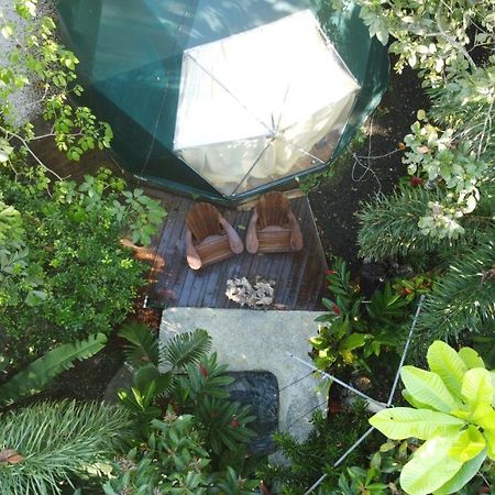 ホテル Momotus Glamping Florencia エクステリア 写真