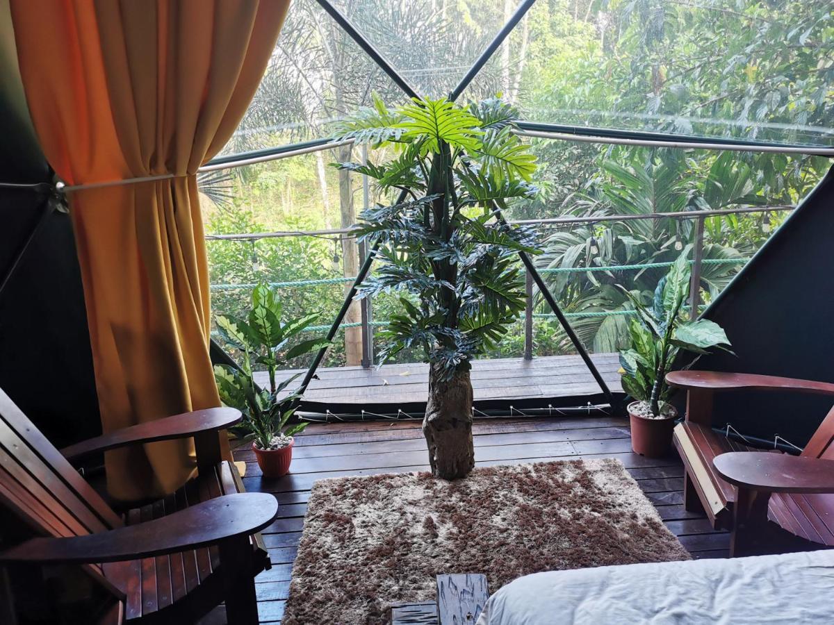 ホテル Momotus Glamping Florencia エクステリア 写真