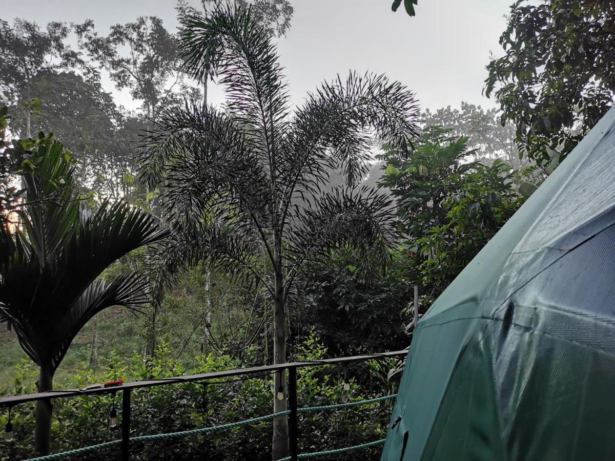 ホテル Momotus Glamping Florencia エクステリア 写真