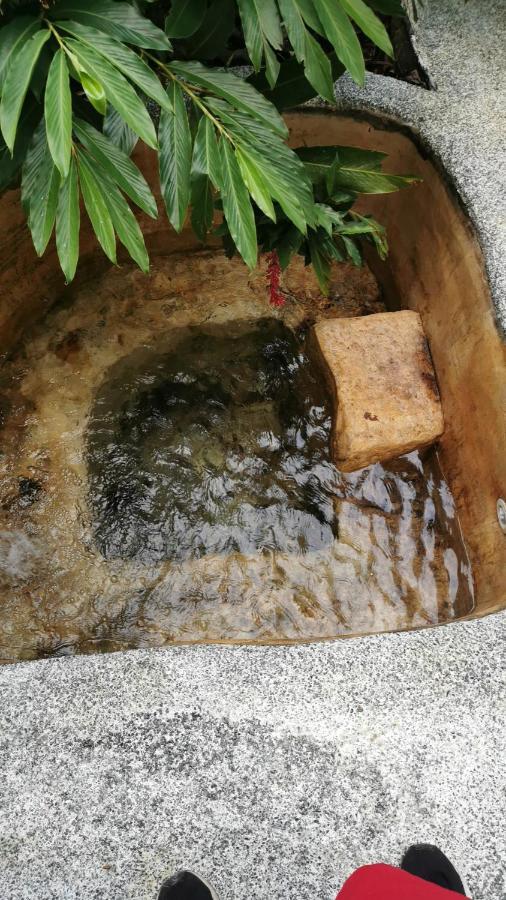 ホテル Momotus Glamping Florencia エクステリア 写真