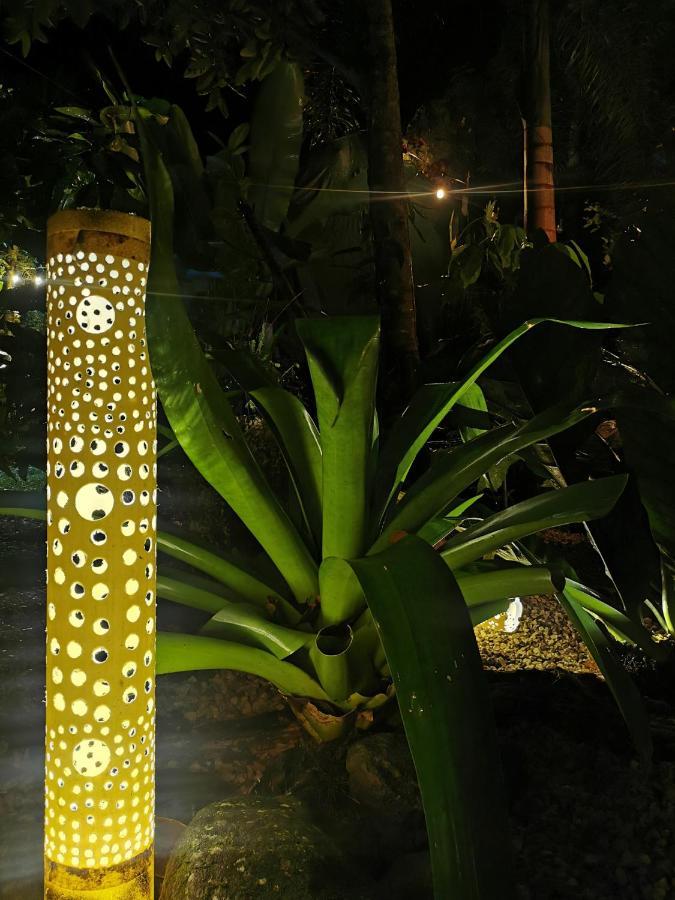 ホテル Momotus Glamping Florencia エクステリア 写真