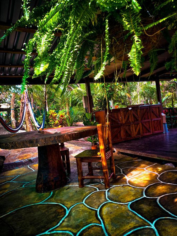 ホテル Momotus Glamping Florencia エクステリア 写真