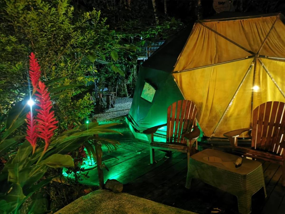 ホテル Momotus Glamping Florencia エクステリア 写真