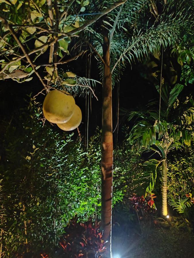 ホテル Momotus Glamping Florencia エクステリア 写真