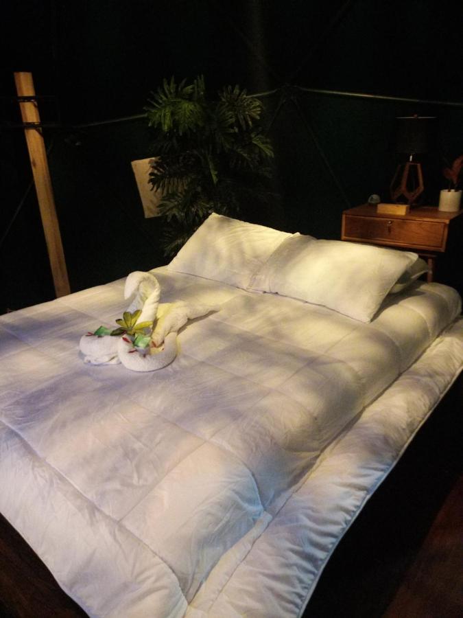 ホテル Momotus Glamping Florencia エクステリア 写真