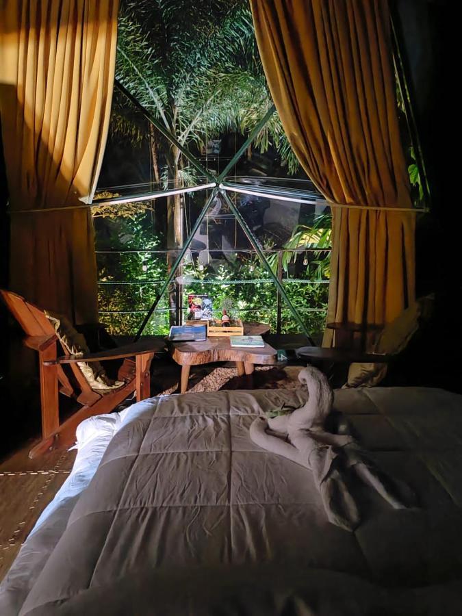 ホテル Momotus Glamping Florencia エクステリア 写真