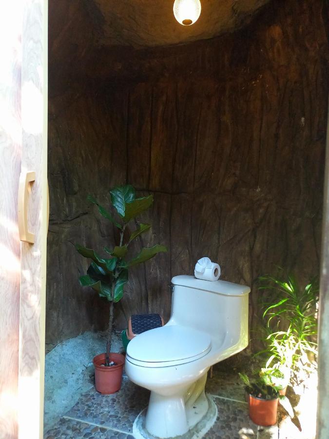 ホテル Momotus Glamping Florencia エクステリア 写真
