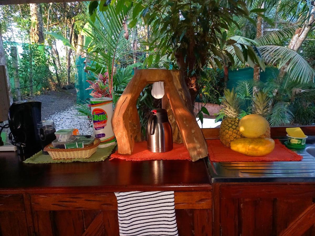 ホテル Momotus Glamping Florencia エクステリア 写真