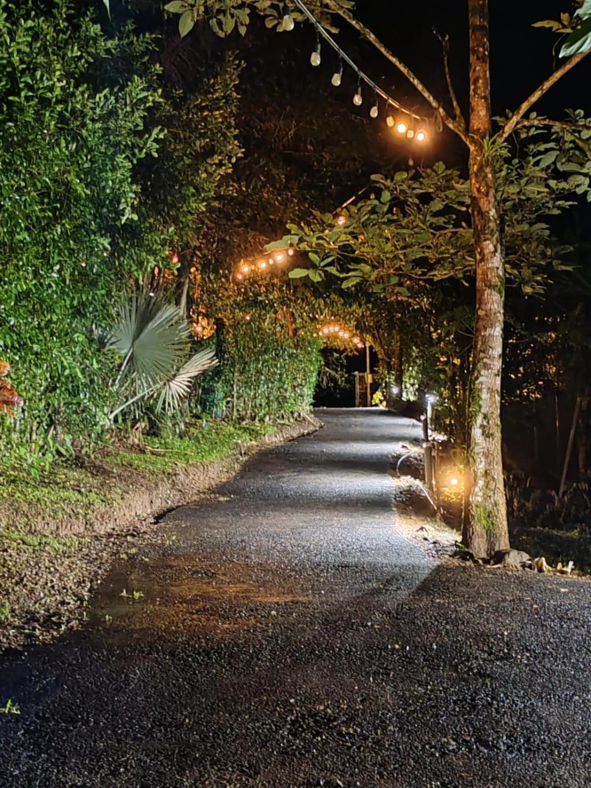 ホテル Momotus Glamping Florencia エクステリア 写真
